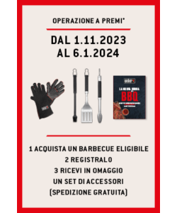 BARBECUE A GAS PORTATILE TRAVELER STEALTH EDITION - WEBER